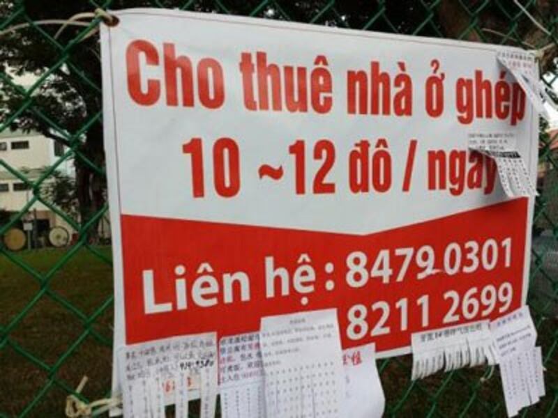 Ánh minh họa chụp tại Geyleng, Singapore. Photo courtesy of VDF.