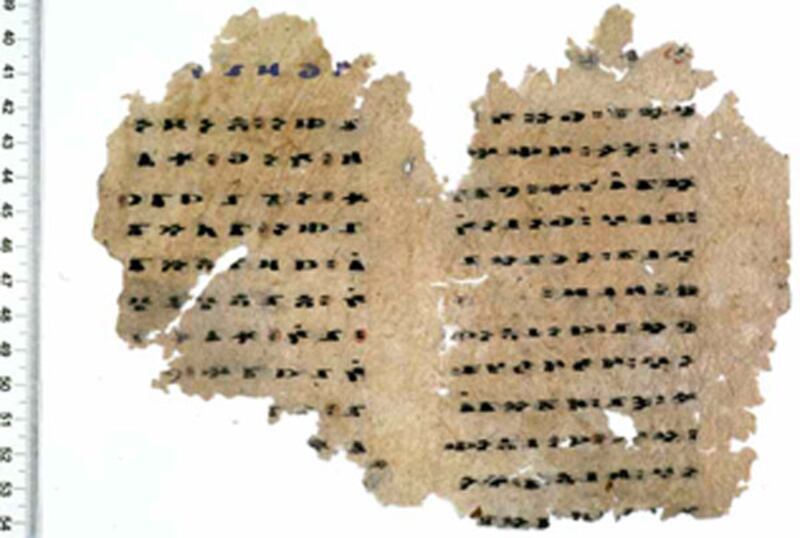 بېرلىن تۇرپان يىغمىسىدىكى كەمتۈك ياپراقلاردىن بىر ئۆرنەك (U 0005a)
