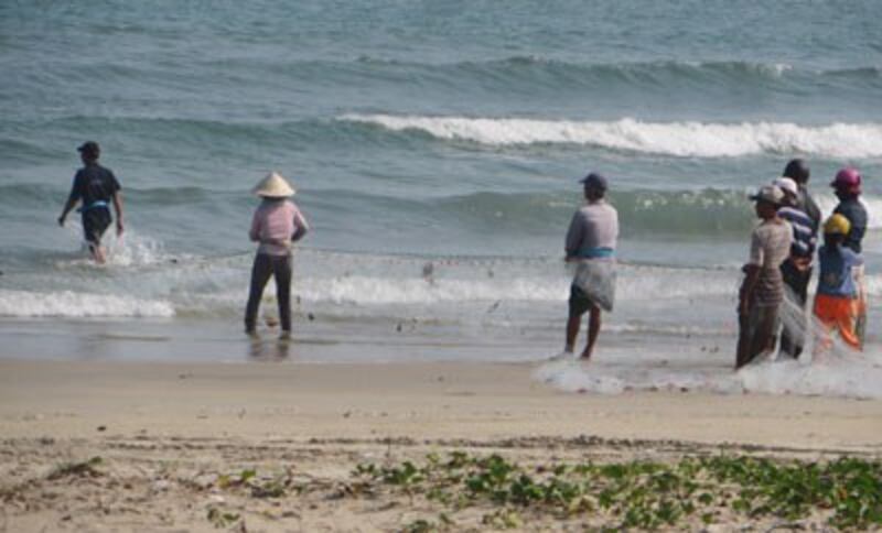 Mùa lưới quét đã trở thành dĩ vãng nơi miền Trung. RFA photo