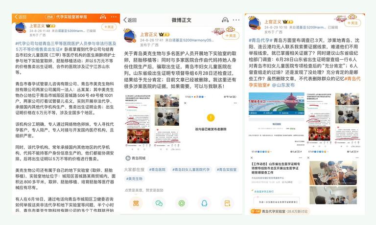 代孕：一个计划生育国度的复杂困境 – 普通话主页