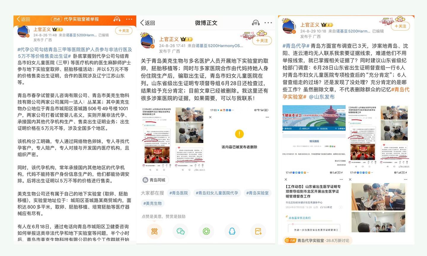 代孕:一个计划生育国度的复杂困境 – 普通话主页