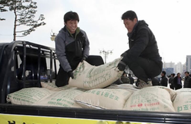 uni_rice_305