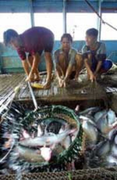 FishFarmer150.jpg