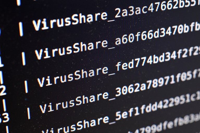 Hình minh họa. Hình chụp hôm 3/11/2016: màn hình với danh sách virus máy tính