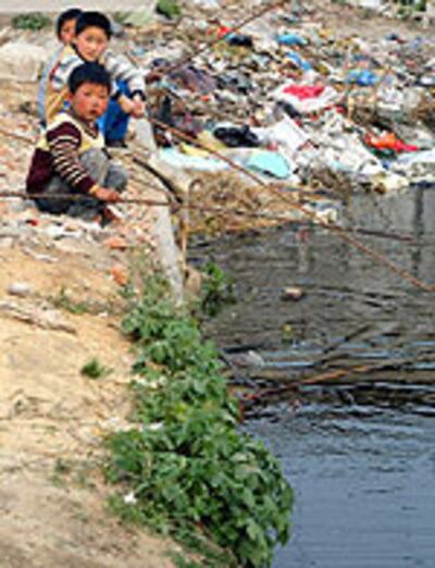 Environment_river150.jpg