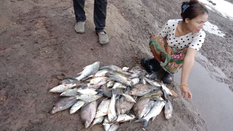 Sesan_river_partialy_dry_up_for_8_days_050823_23.jpeg