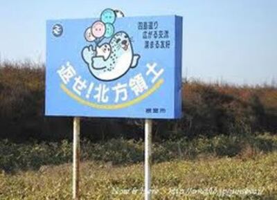 (图片由南洲提供)