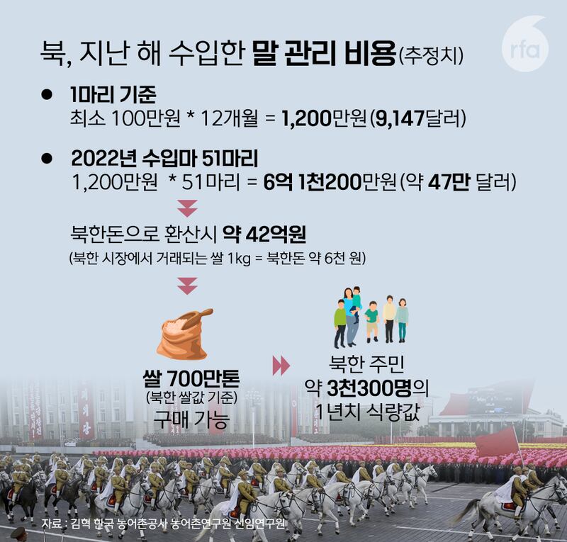 승용마 그래픽.jpg