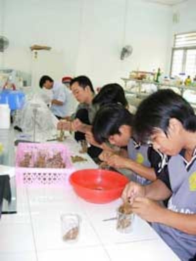 Giờ học của sinh viên khoa nông nghiệp trường đại học An Giang. Photo courtesy of agu.edu.vn