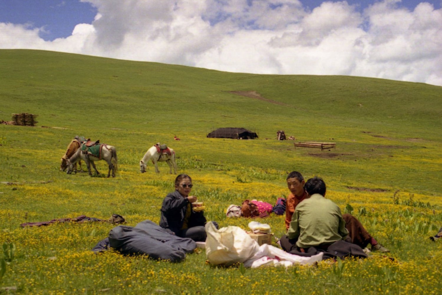 在去往乡间的路上小憩。(摄影者是同伴)