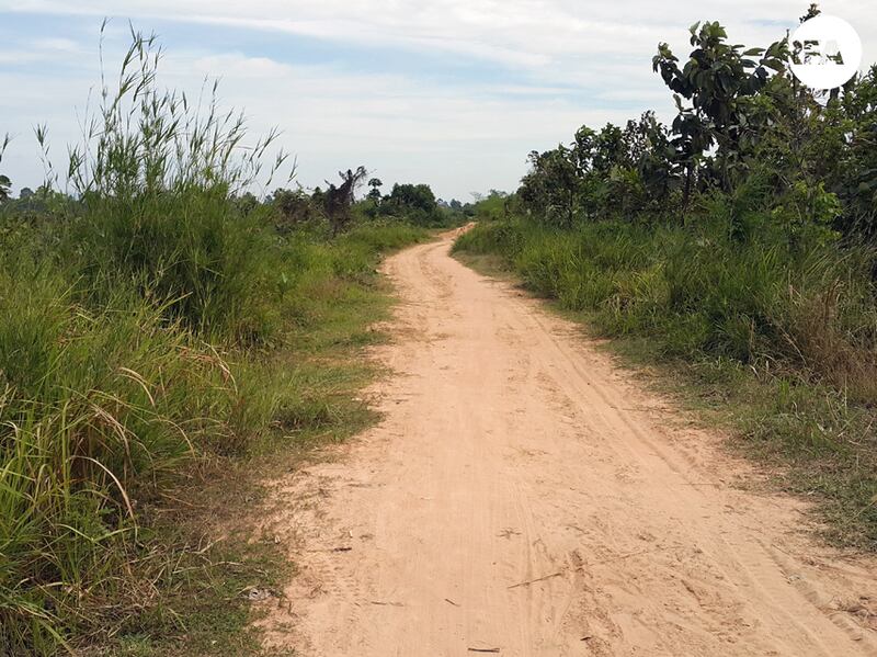 ផ្លូវ​លំ​នៅ​លើ​ដី​ដែល​ក្រុមហ៊ុន វើលដ៍ ទ្រីស្តារ អ៊ីនធឺថេនមិន (World Tristar Entertainment Co., Ltd) ទទួល​បាន ប៉ុន្តែ​មិន​ឃើញ​មាន​ការ​អភិវឌ្ឍ ស្ថិត​ក្នុង​ស្រុក​ឈូក ខេត្ត​កំពត។ រូបថត​ថ្ងៃ​ទី​២២ ខែ​មករា ឆ្នាំ​២០១៧។ RFA/Yang Chandara