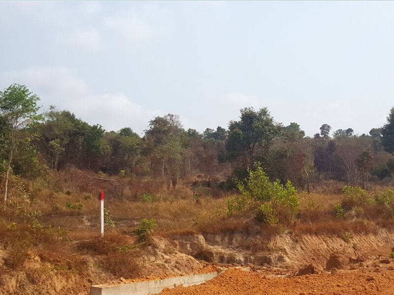 ដី​គម្រប​ព្រៃ​ឈើ​ឆ្នាំ​២០០២ ដែល​រដ្ឋាភិបាល​រក្សា​ទុក​មាន​ទីតាំង​នៅ​ចុង​ឆ្នេរ​អូរត្រេះ ស្ថិត​ក្នុង​ភូមិ​គគីរ ឃុំ​បិតត្រាំង ស្រុក​ព្រៃនប់ ខេត្ត​ព្រះសីហនុ។ រូបថត​​ថ្ងៃ​ទី​២០ ខែ​កុម្ភៈ ឆ្នាំ​២០១៦។ 