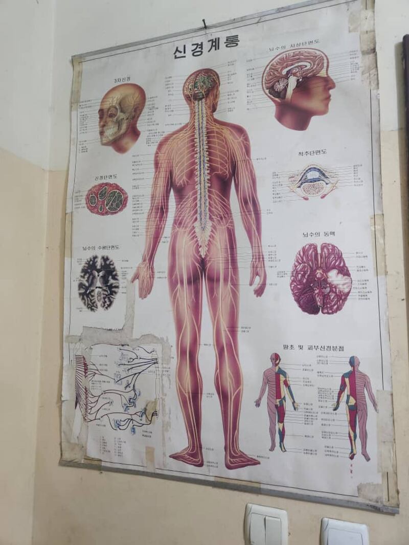 1번 인체해부도.jpg