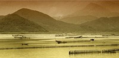 Phá Tam Giang- Wikipedia Commons photo