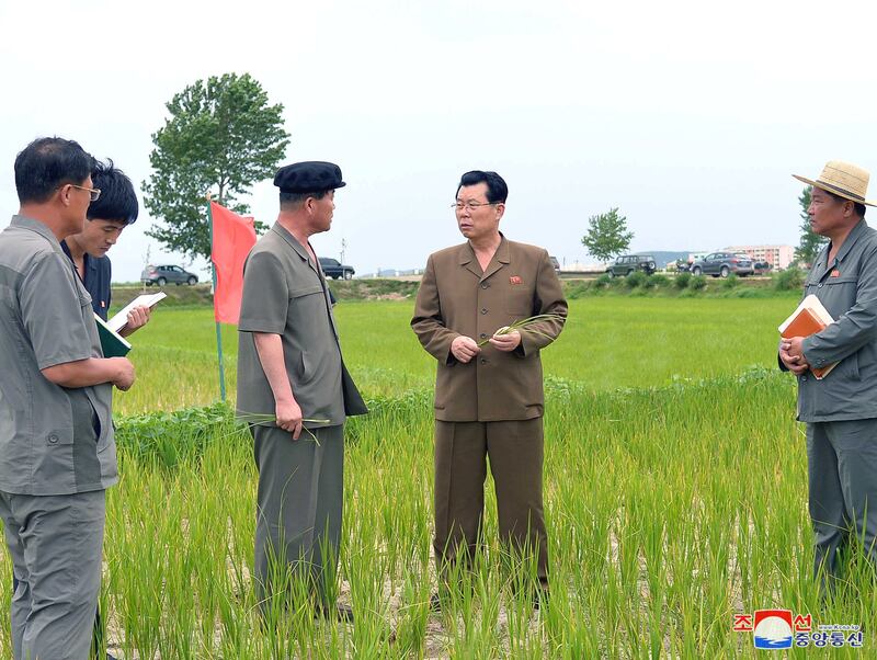 2019년 7월, 조선노동당 중앙위원회 정치국 위원 김재룡이 남포시의 농업 현장을 시찰하고 있는 모습.