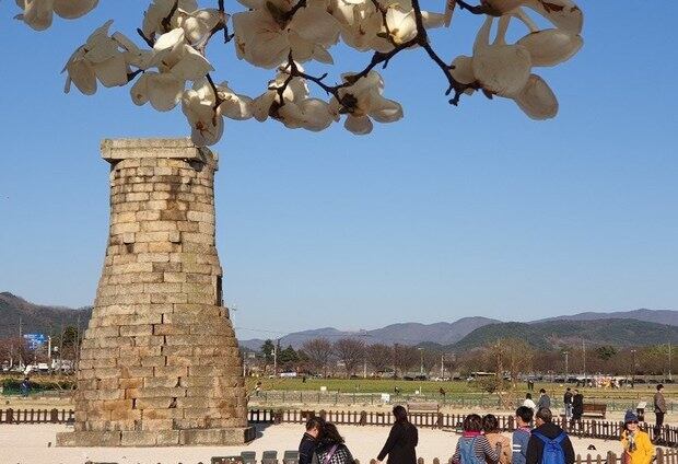 관람객들이 경주 첨성대를 둘러보고 있다.