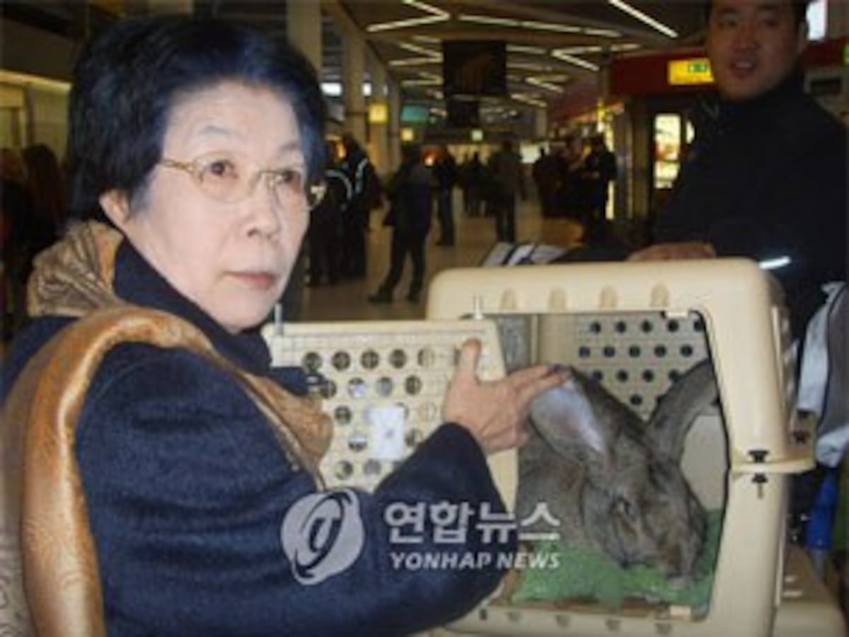 Korea Rabbit Package North Korea orders schools to breed more rabbits to feed army – Radio ...