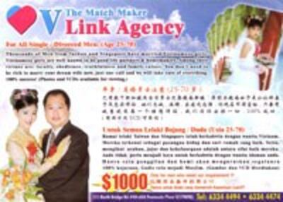 VLink_VNbrides200.jpg