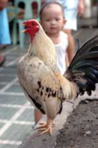 BirdFluKid150.jpg