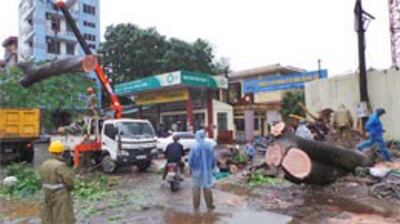Bảo Hải Yến đến Hà Đông, 9-10/11/2013 (dantri.com)