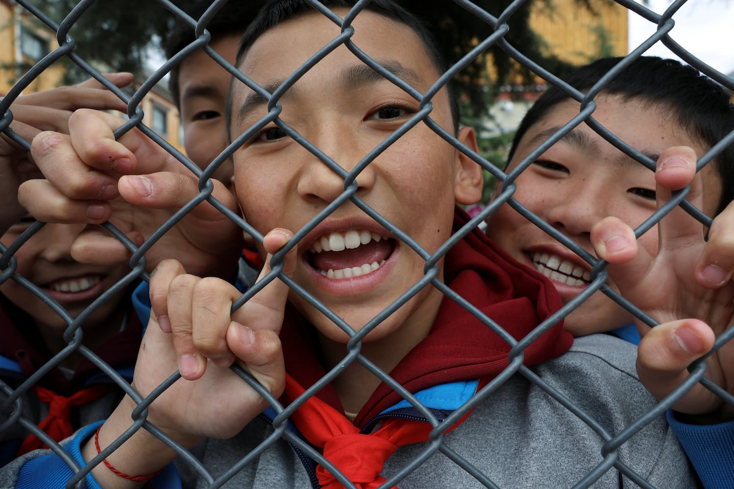 Netizens demand China reinstate Tibetan language use in schools