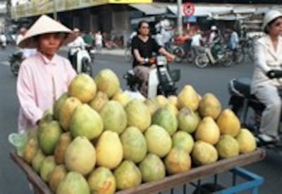 Grapefruit200.jpg