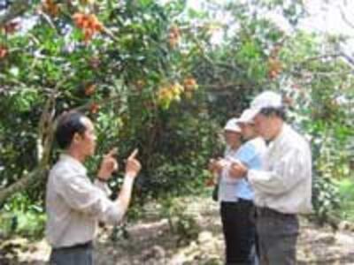 BentreFruit200.jpg