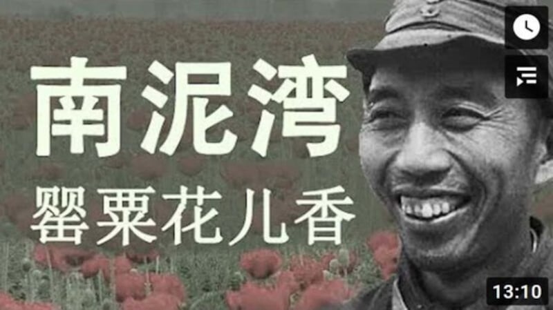 王震曾经在南泥湾种植鸦片。(视频截图)