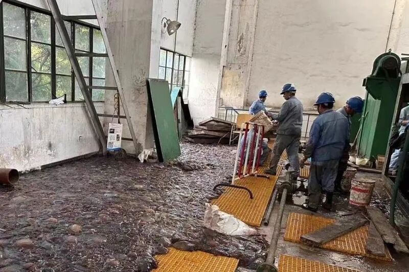 大量海蜇入侵中国石化上海石油化工（简称上海石化）的海水泵房，员工清出上百吨海蜇。（图片来源：上海石化微信公众号）