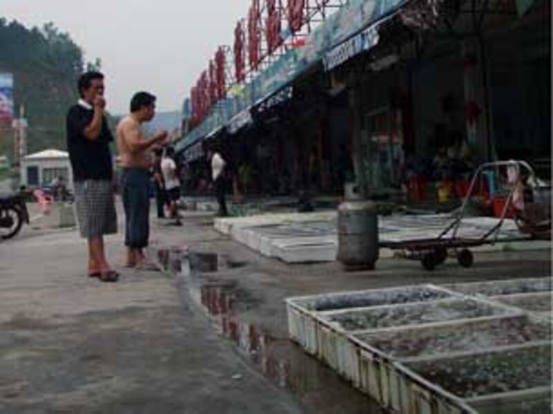 Seafood_DayaBay305