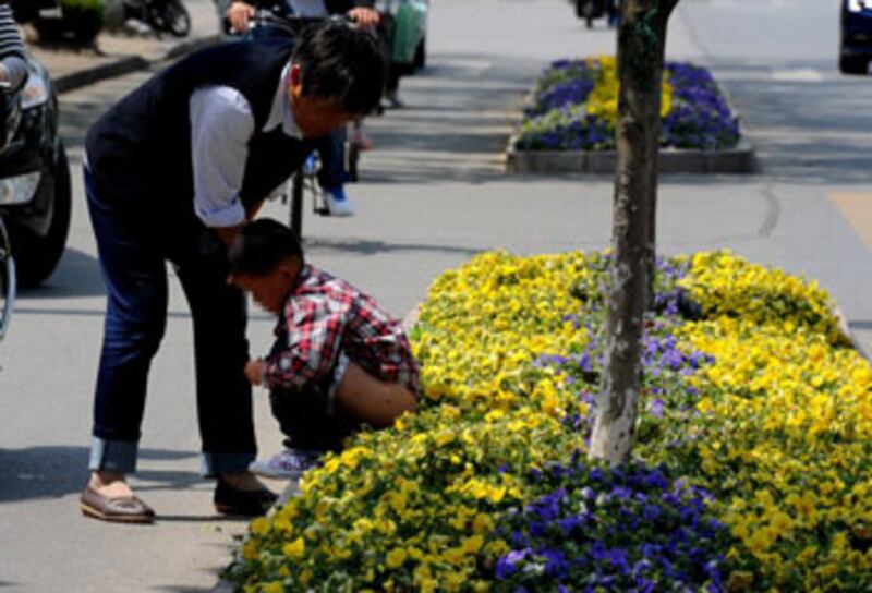 2013年5月1日,中國,蘇州,遊客帶著孩子在路邊的花壇裡大小便。(法新社圖片)