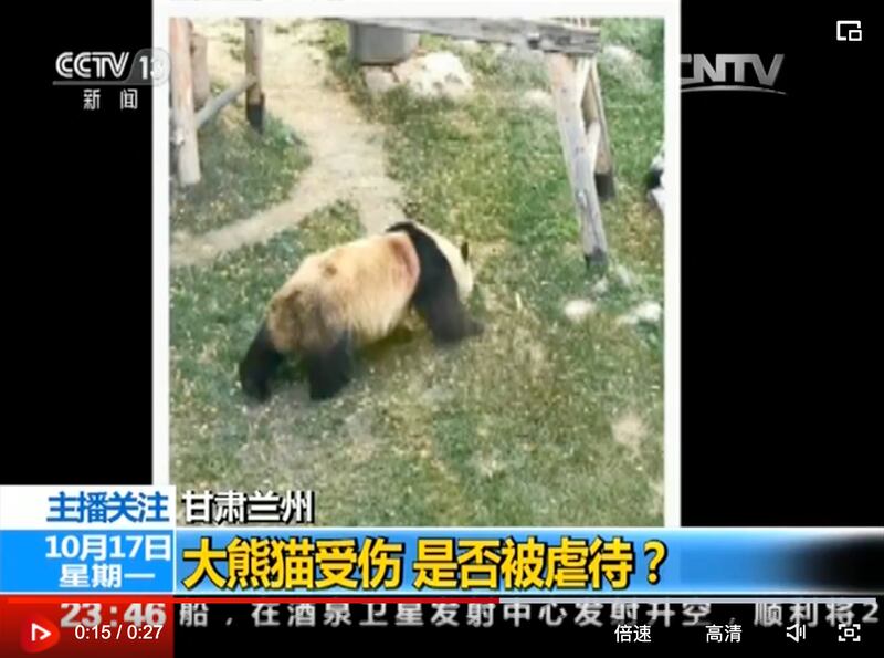 央視報導截圖（央視網往期節目視頻）