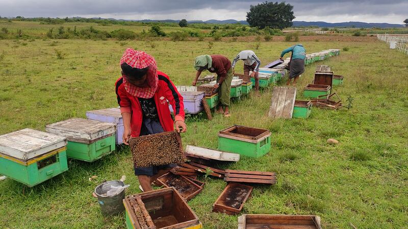beekeeping.jpg