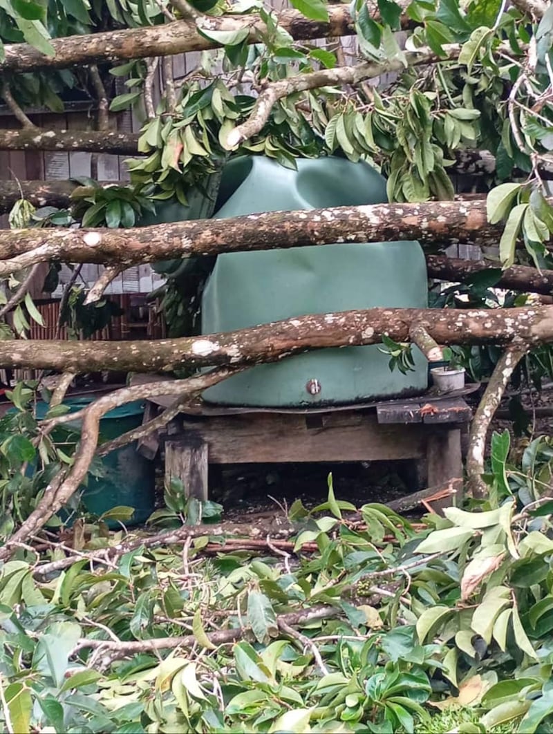 In this file photo, trees that were knocked down by Cyclone Maila have damaged a water tank on Samarai Island, Milne Bay province, Papua New Guinea.