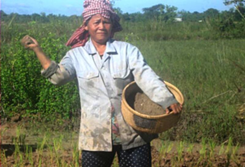 កសិករ ៣០៥