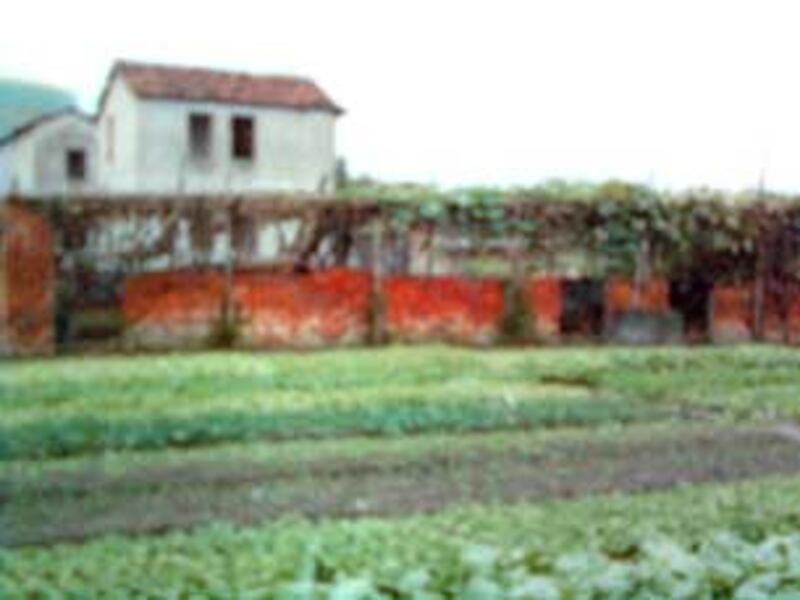 FengZhufang02_305