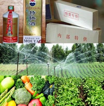 图片:“特供品”产自特供基地,产品包罗万象。(记者乔龙制作)