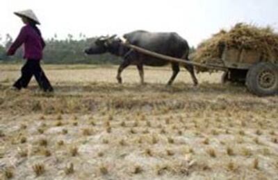 farmer-250.jpg