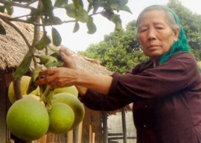 Các thành viên Tổ Chức QuốcTế Người Cao Tuổi Và Những Câu Lạc Bộ Đồng Cảm cho Bệnh Nhân HIV/AIDS 