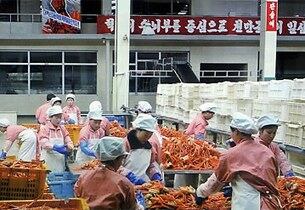 북한 나선경제무역구 내 수산물 가공공장의 모습.
