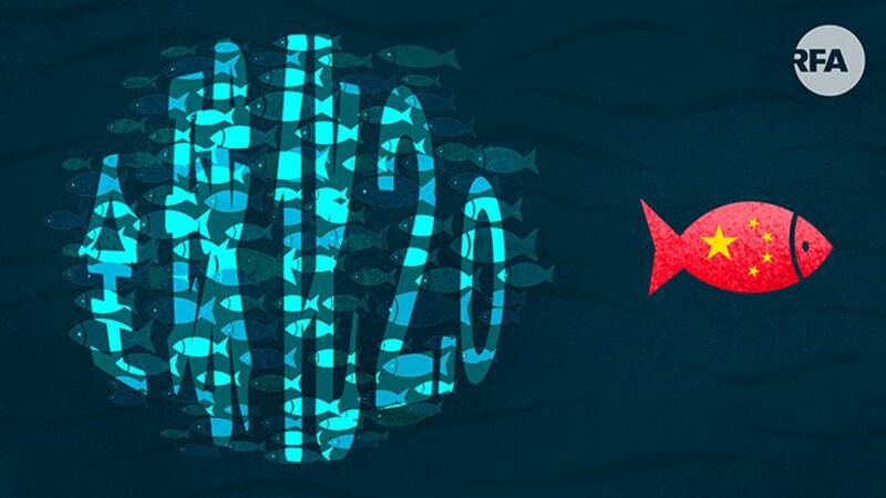 全球化2.0与中国“战略性分手”（自由亚洲电台制图）