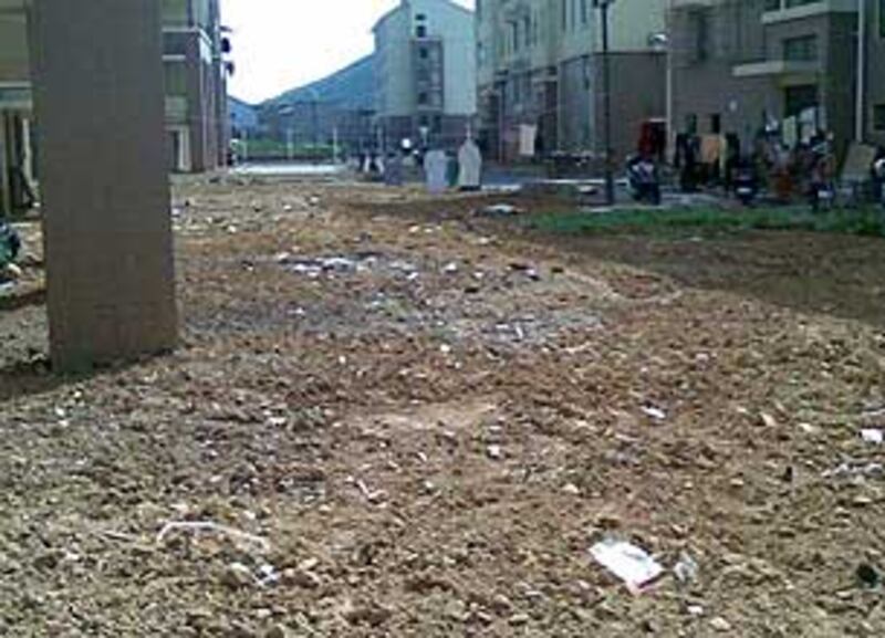 Zhoushan2009_1211B_305
