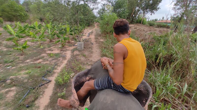 ဝင်္ဂဘော်ဆင်စခန်း