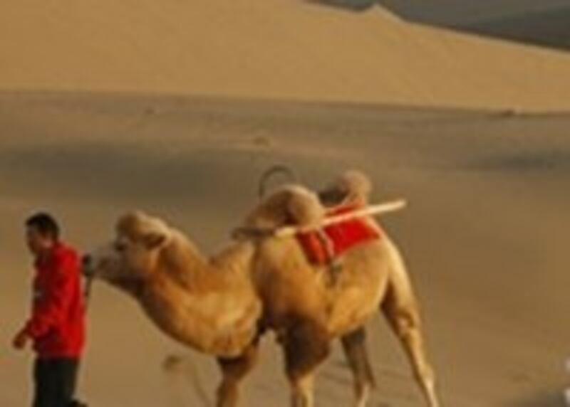 desert-200.jpg