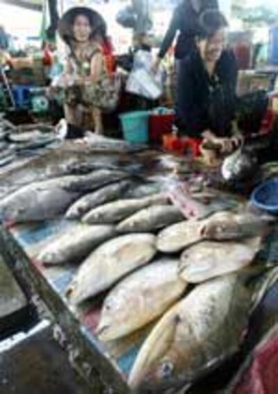 fish150.jpg