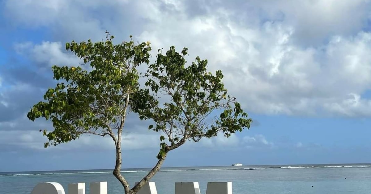 China-US competition for rare earths sparks plan to mine Pacific seabed near Guam China-US competition for rare earths sparks plan to mine Pacific seabed near Guam