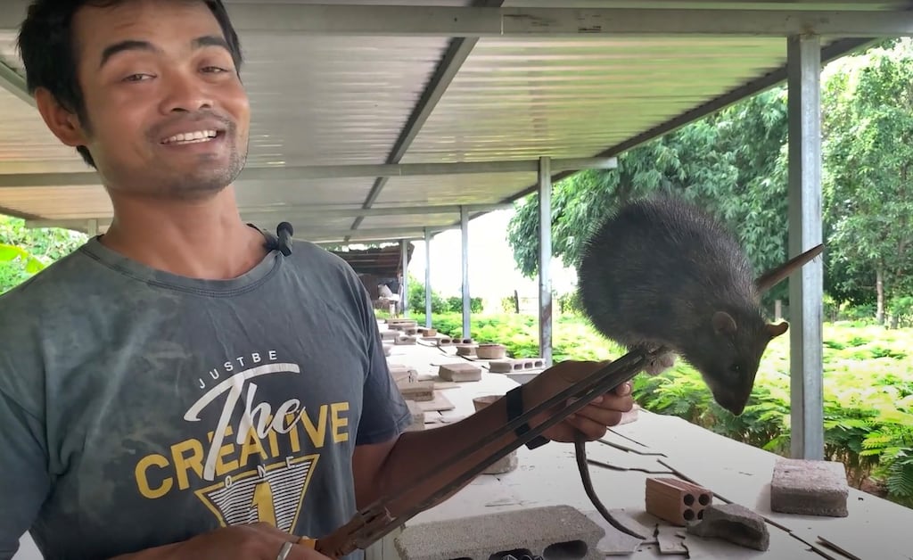 Raising Rats Cambodian farmer says raising rats for food has boosted his family’s ...