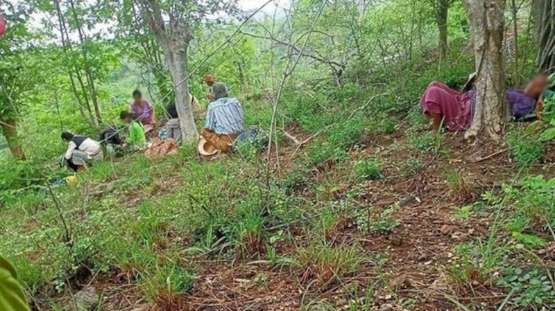 Wun Chone villagers take shelter in the forest in Magway region's Pauk township, in an undated photo. Citizen journalist