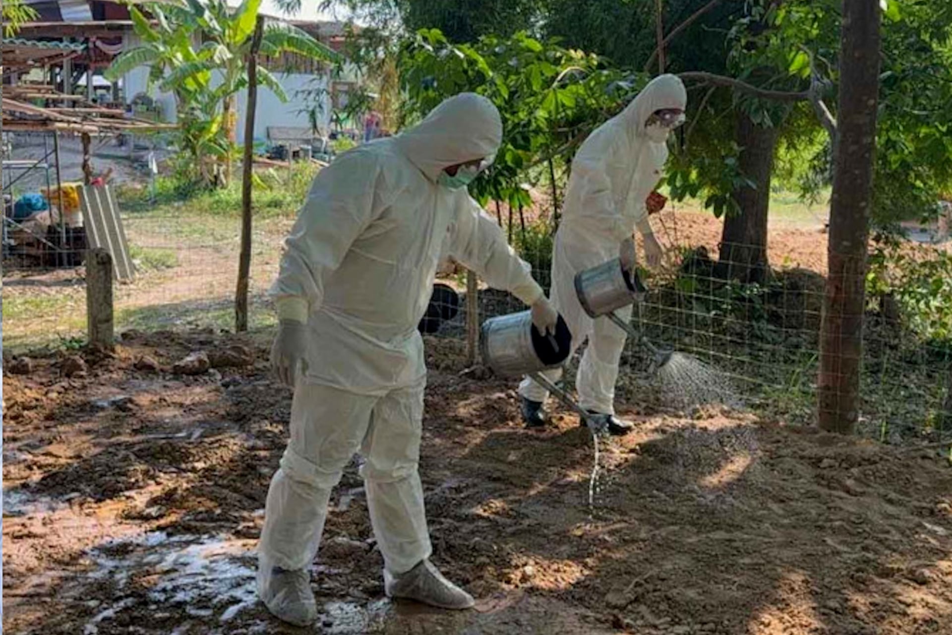 Disease control officials are on duty to curb anthrax in Mukdahan province.