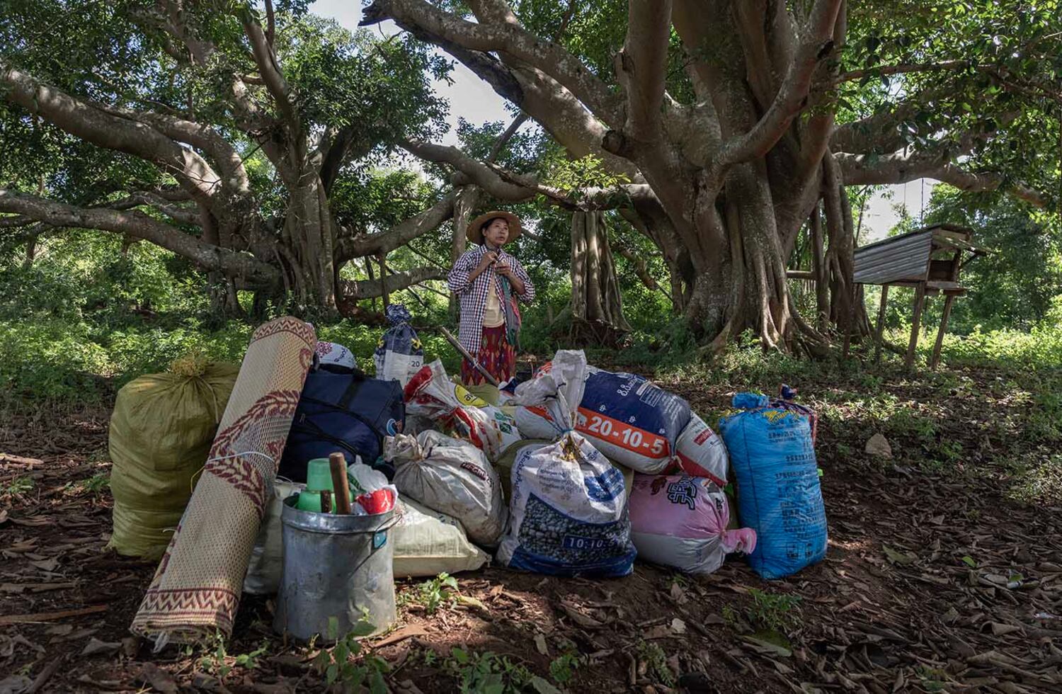 Than Aye, 54, waits under a banyan tree amid bags of freshly harvested paddy rice after being dropped off by a truck carrying people fleeing the fighting in southern Shan state, Myanmar, Oct. 30, 2024.